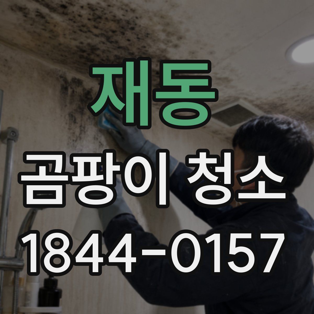 재동 곰팡이 청소