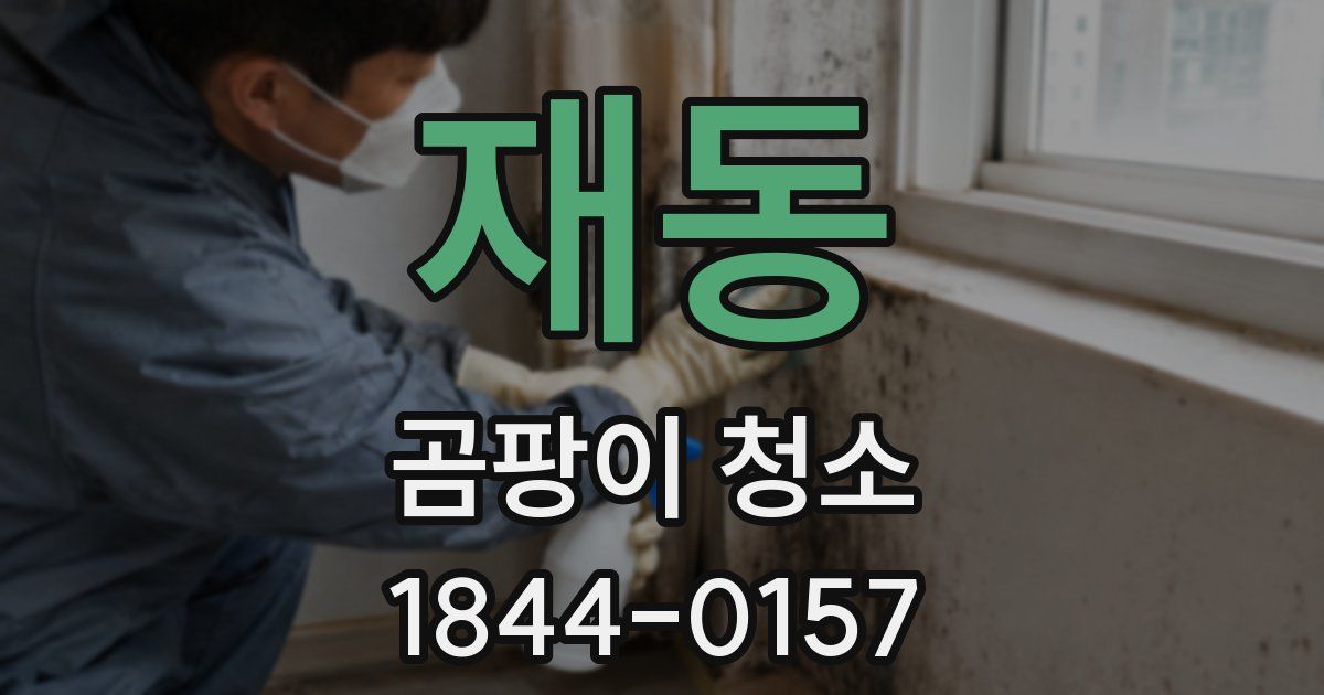재동 곰팡이 청소