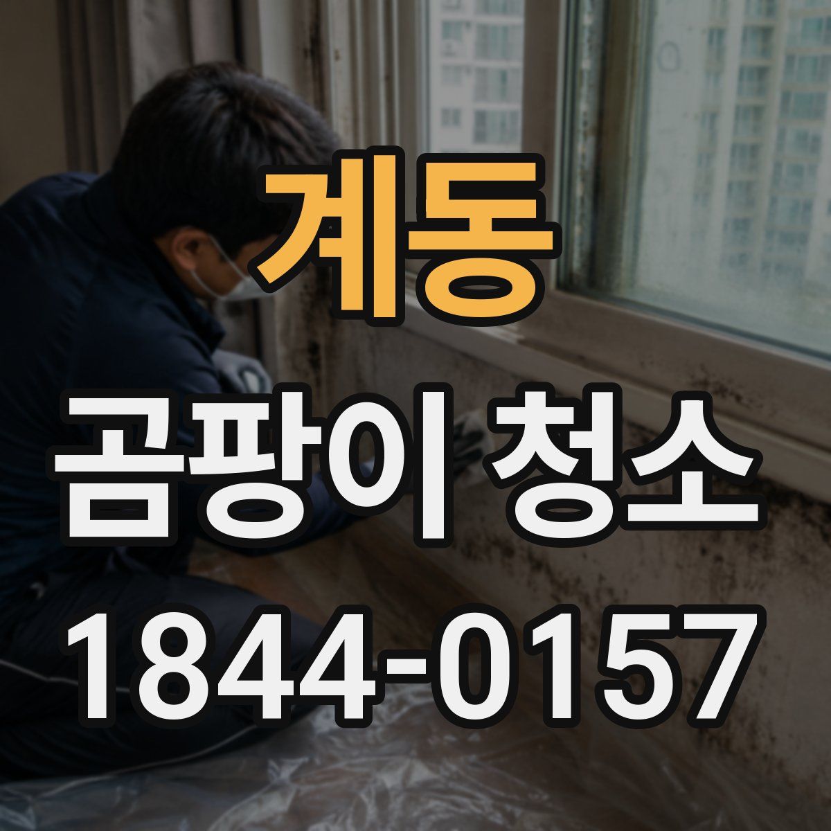 계동 곰팡이 청소