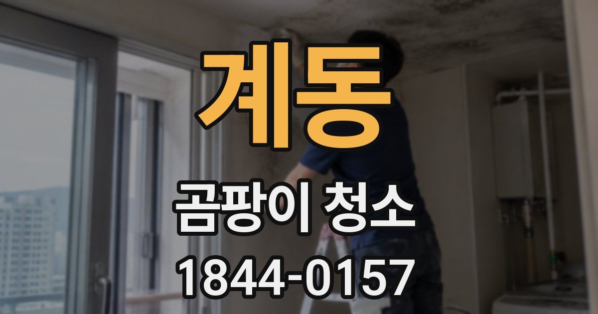 계동 곰팡이 청소