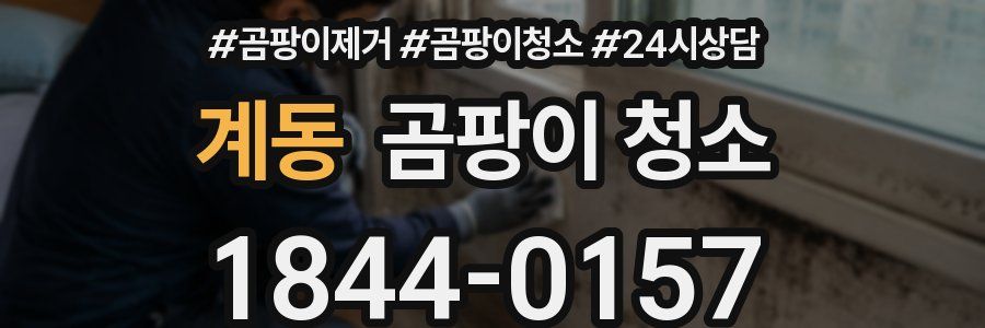 계동 곰팡이 청소