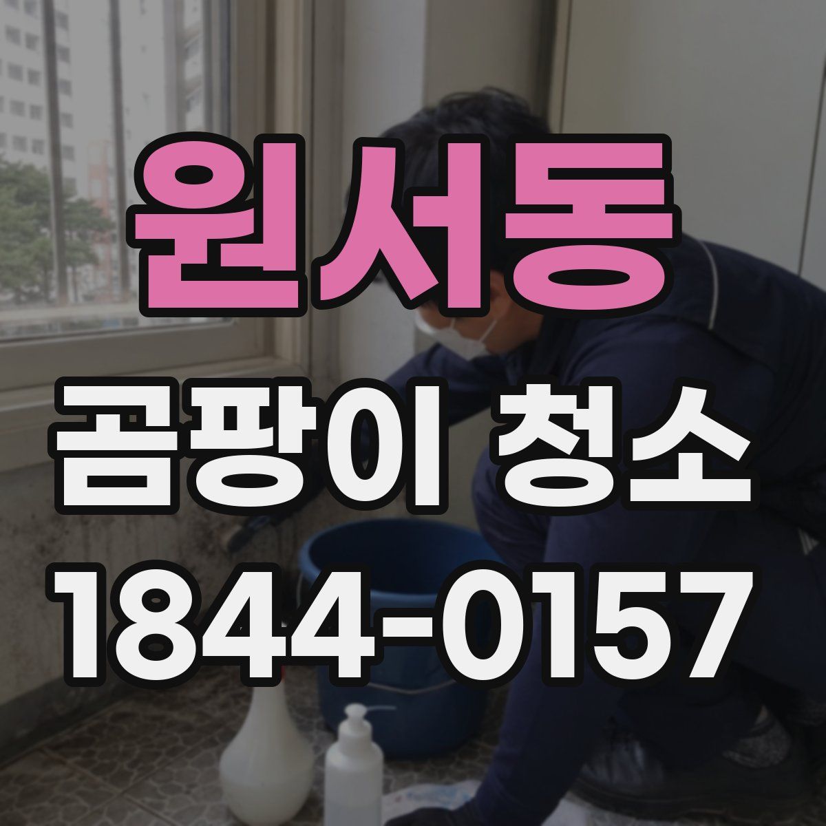원서동 곰팡이 청소