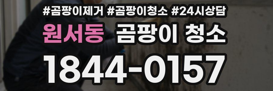 원서동 곰팡이 청소