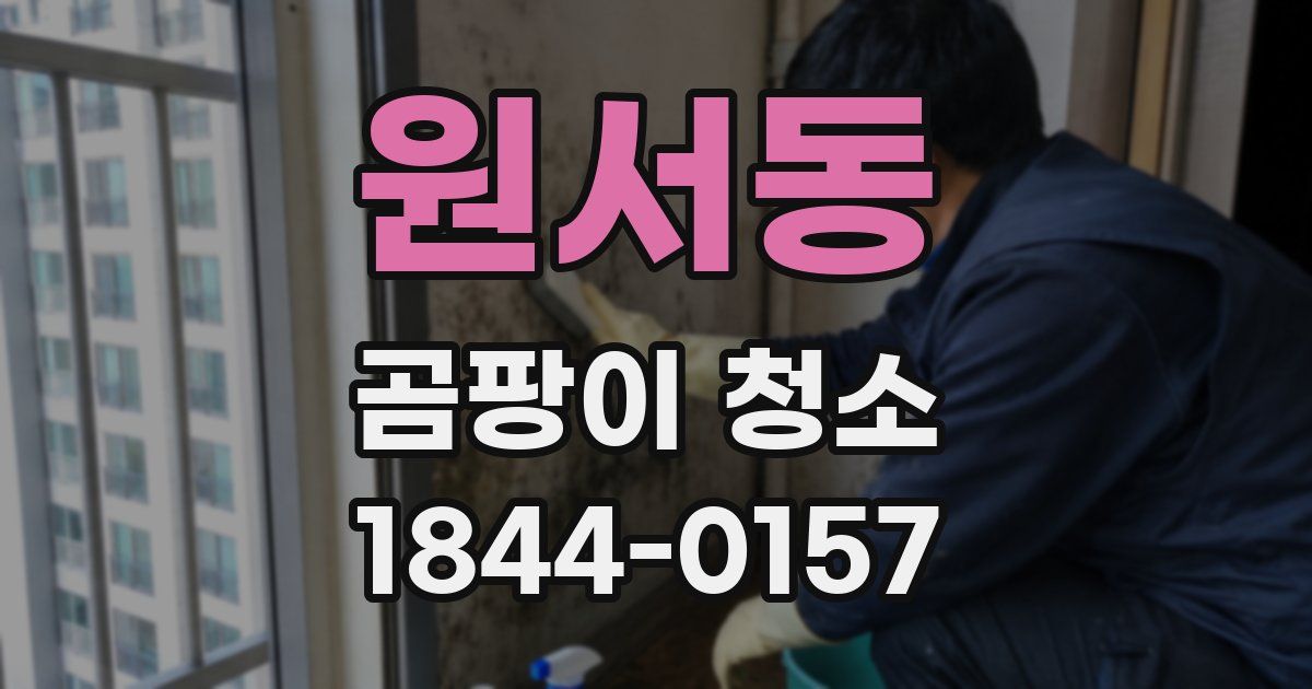 원서동 곰팡이 청소