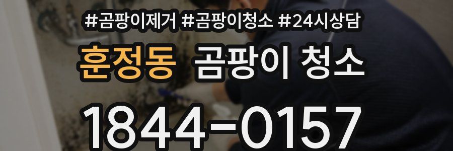 훈정동 곰팡이 청소