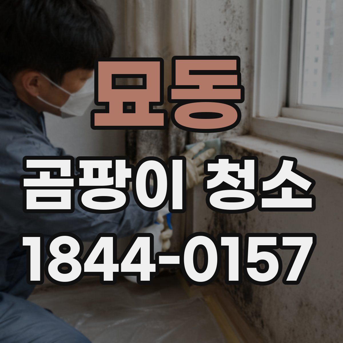 묘동 곰팡이 청소