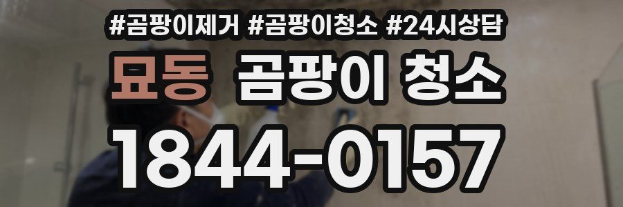 묘동 곰팡이 청소