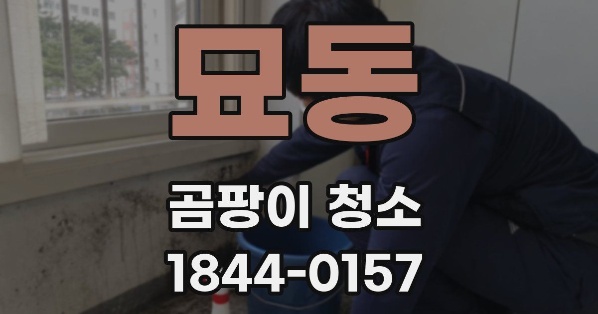 묘동 곰팡이 청소
