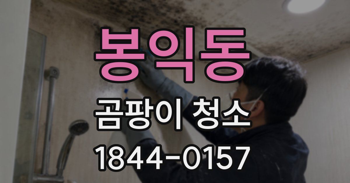 봉익동 곰팡이 청소