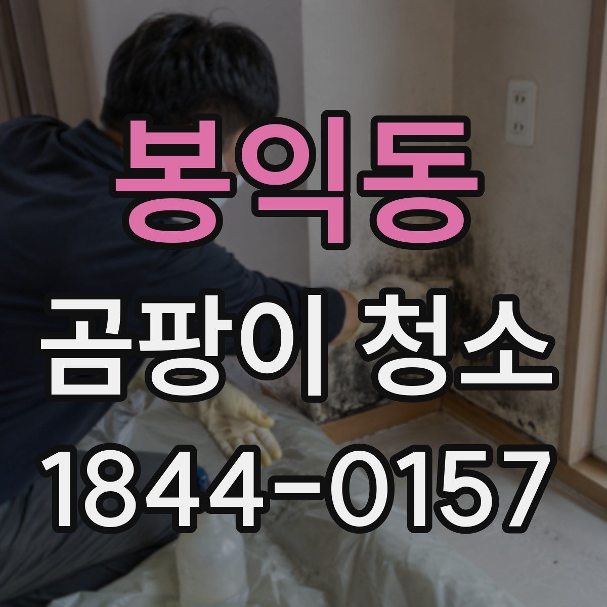 봉익동 곰팡이 청소