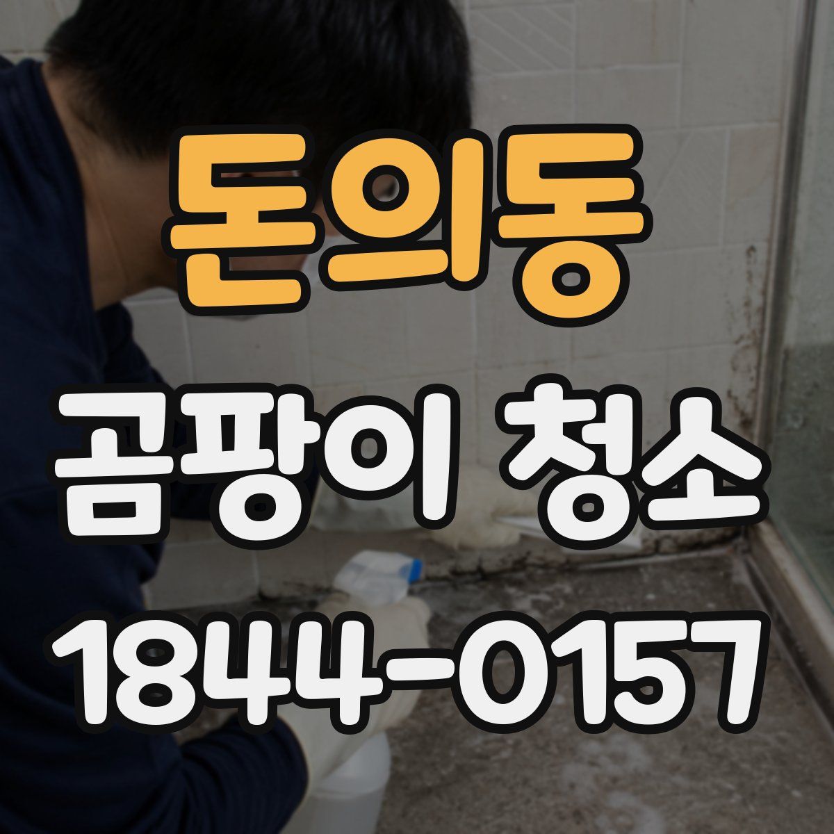 돈의동 곰팡이 청소