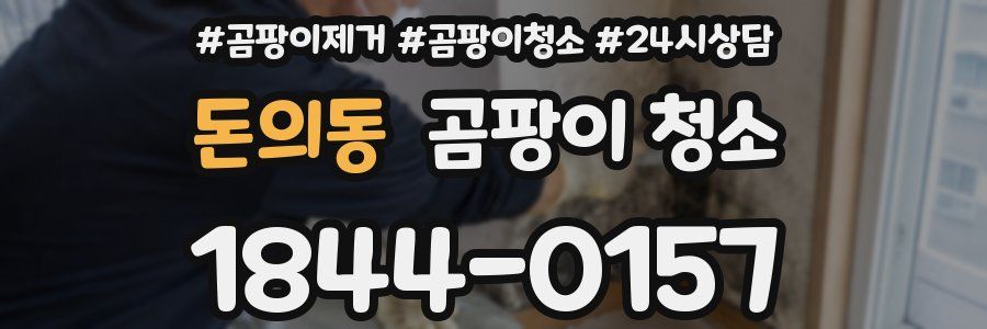 돈의동 곰팡이 청소