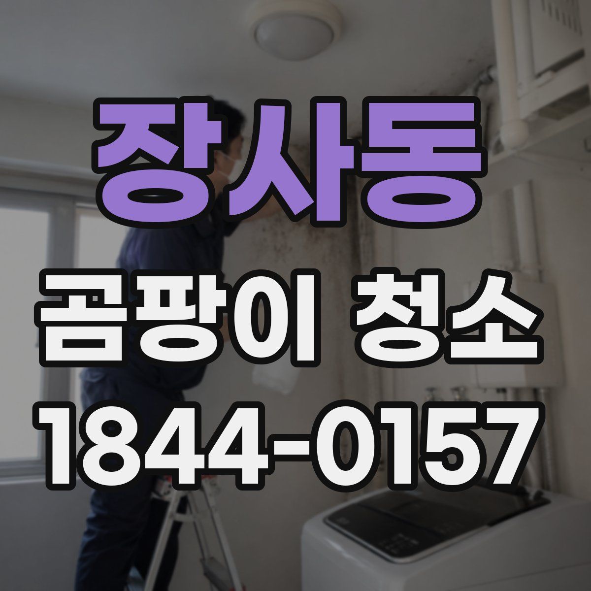 장사동 곰팡이 청소
