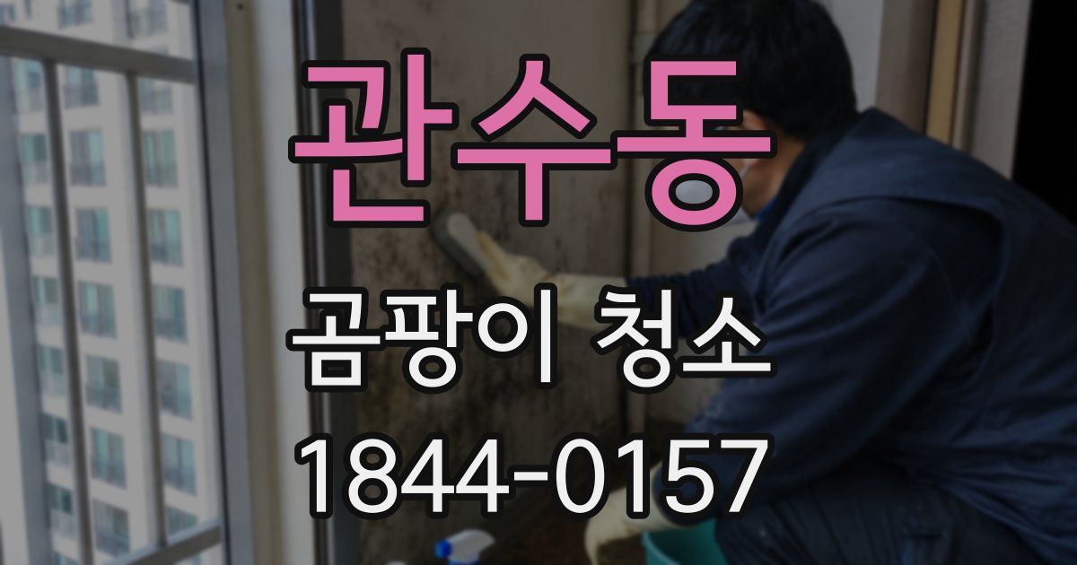 관수동 곰팡이 청소