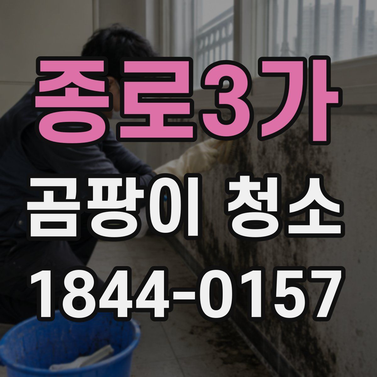 종로3가 곰팡이 청소