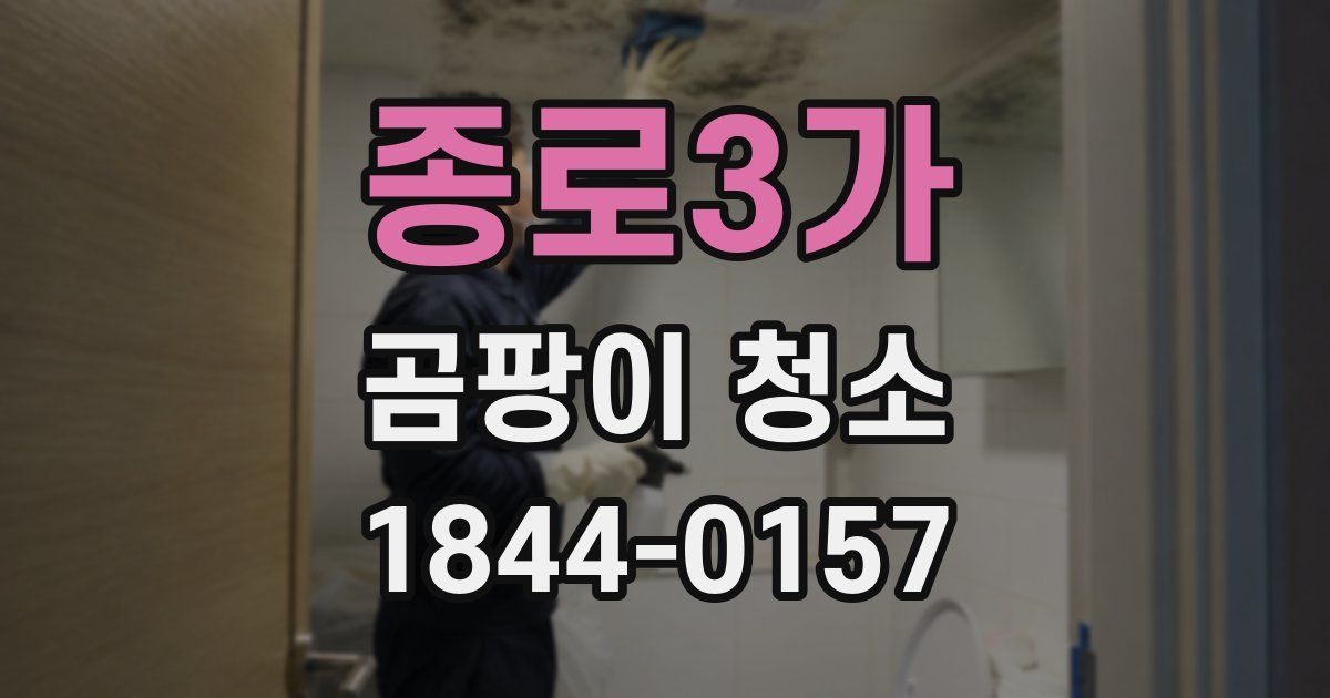종로3가 곰팡이 청소