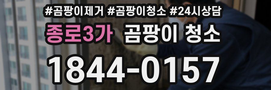 종로3가 곰팡이 청소