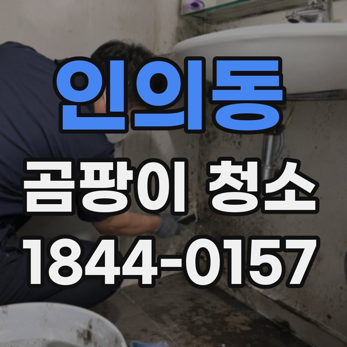 인의동 곰팡이 청소