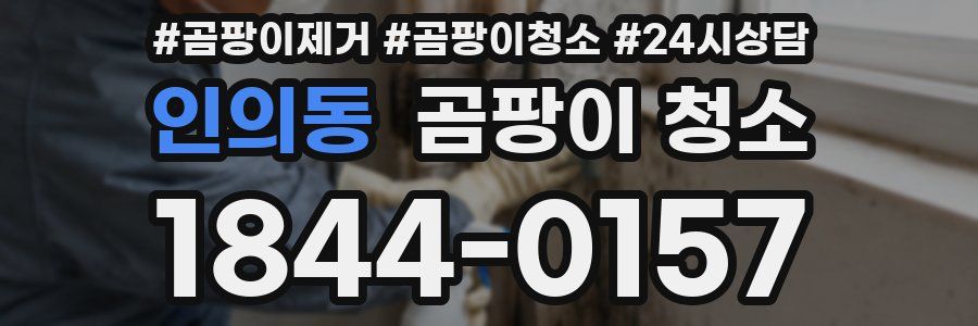 인의동 곰팡이 청소