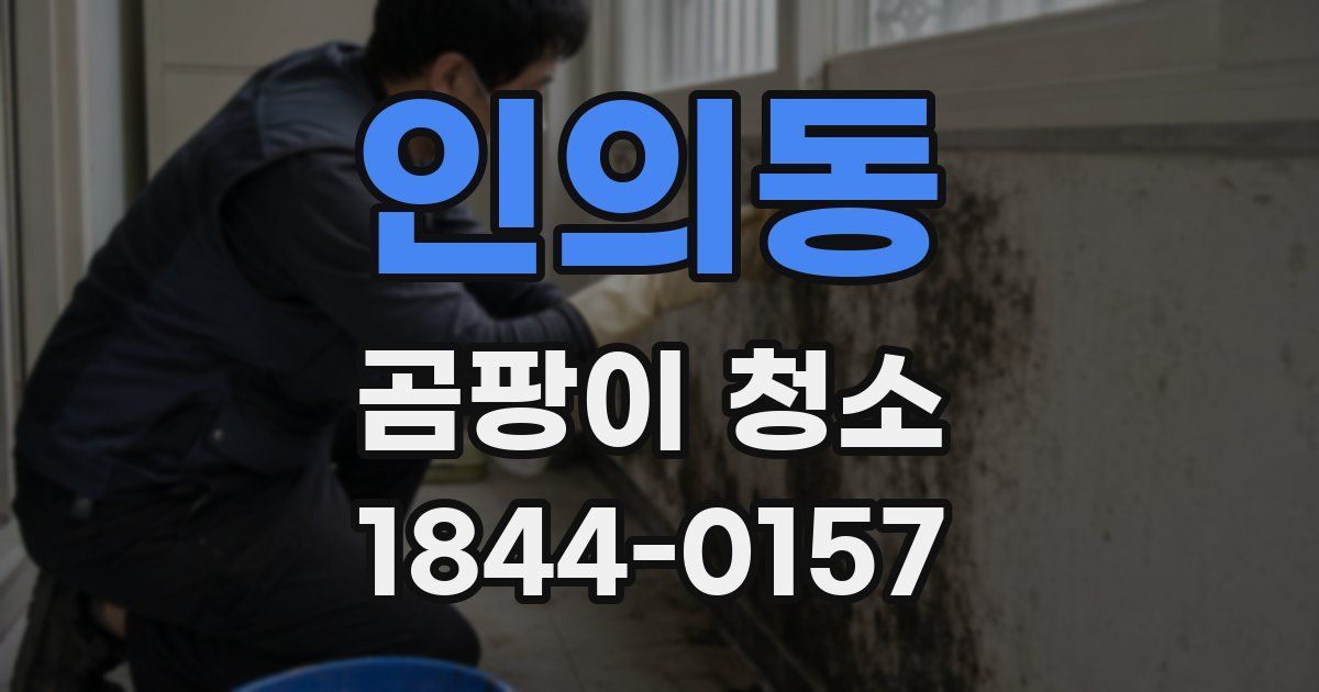 인의동 곰팡이 청소
