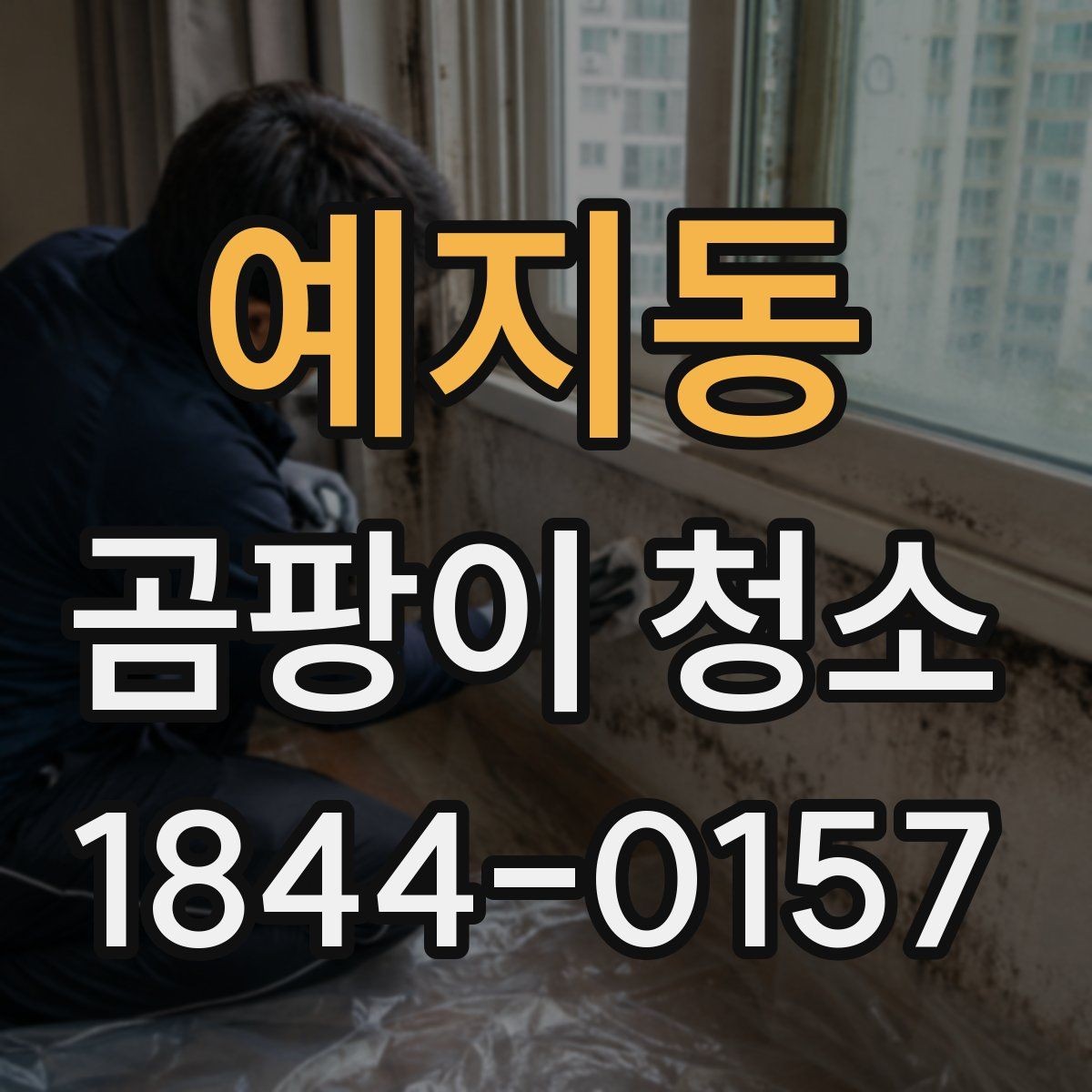 예지동 곰팡이 청소 마감재 손상을 줄이며 살피는 순서