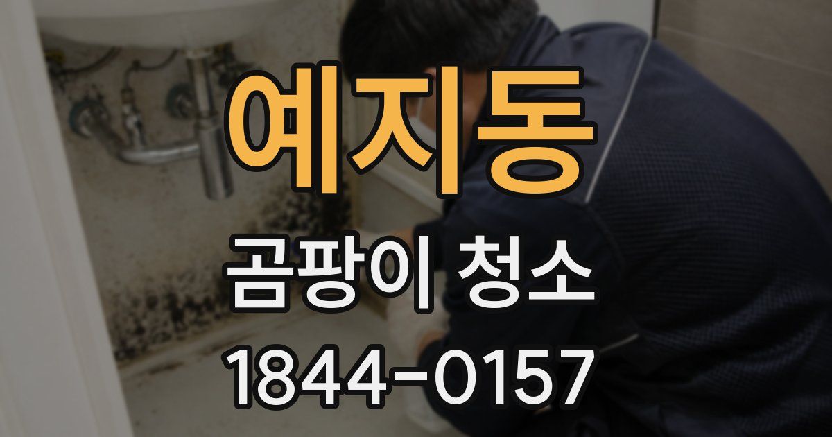 예지동 곰팡이 청소