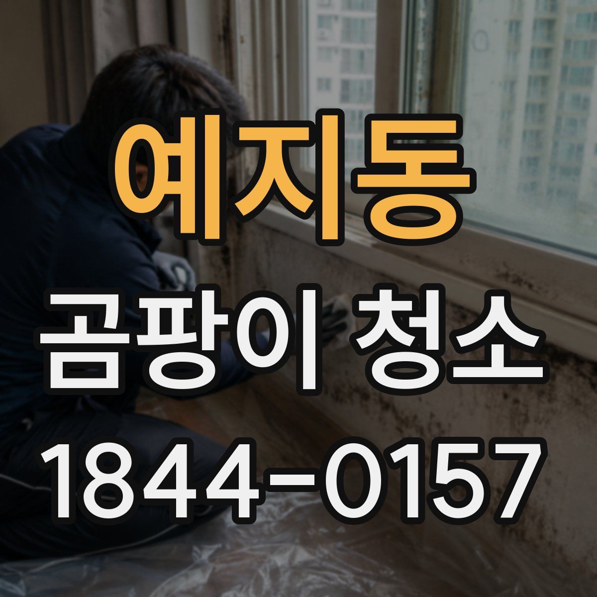 예지동 곰팡이 청소