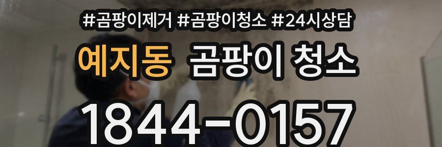 예지동 곰팡이 청소