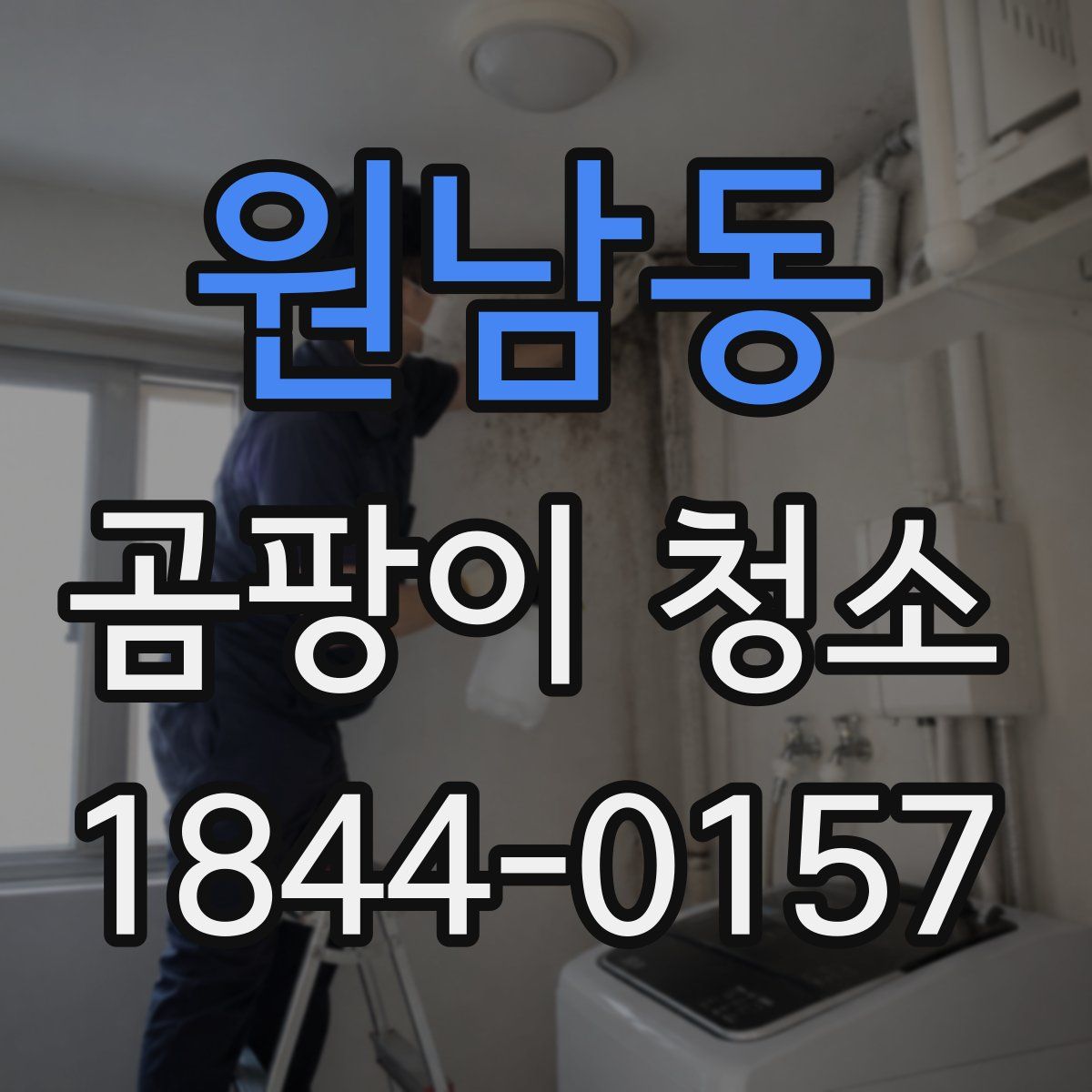 원남동 곰팡이 청소