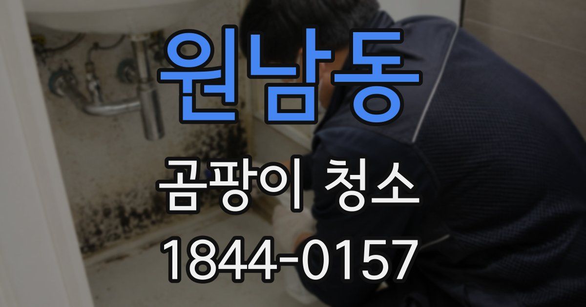원남동 곰팡이 청소