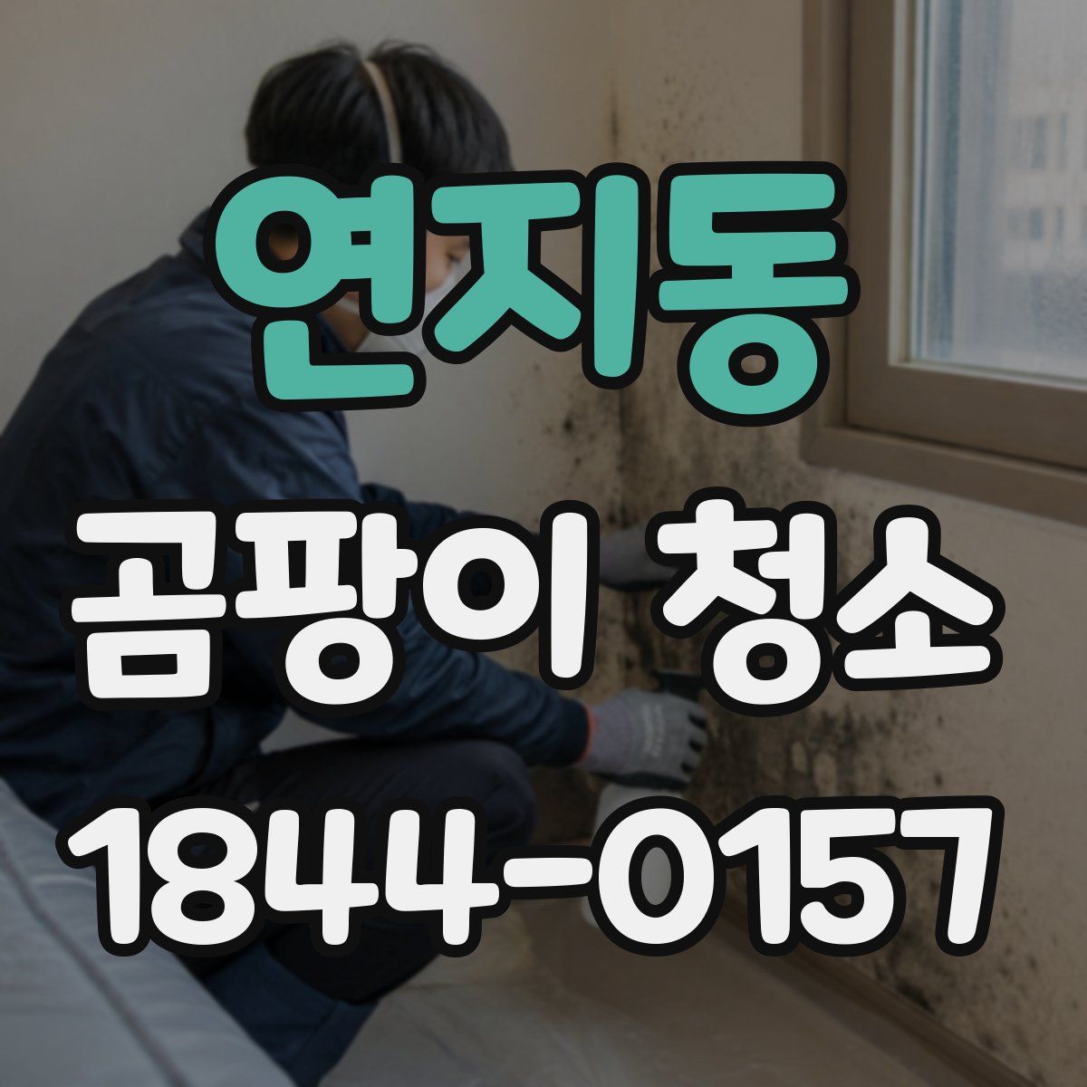 연지동 곰팡이 청소