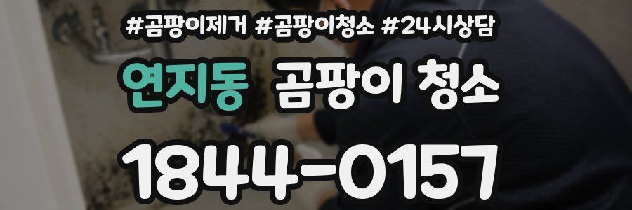 연지동 곰팡이 청소