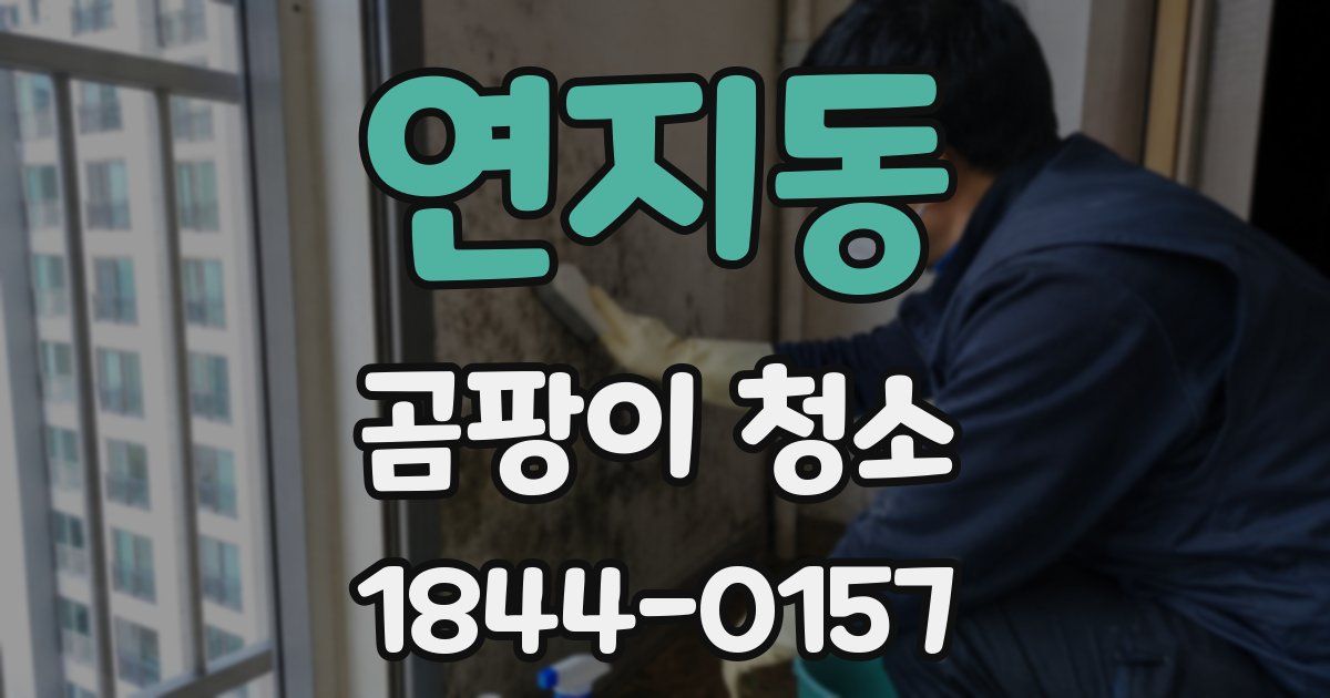 연지동 곰팡이 청소