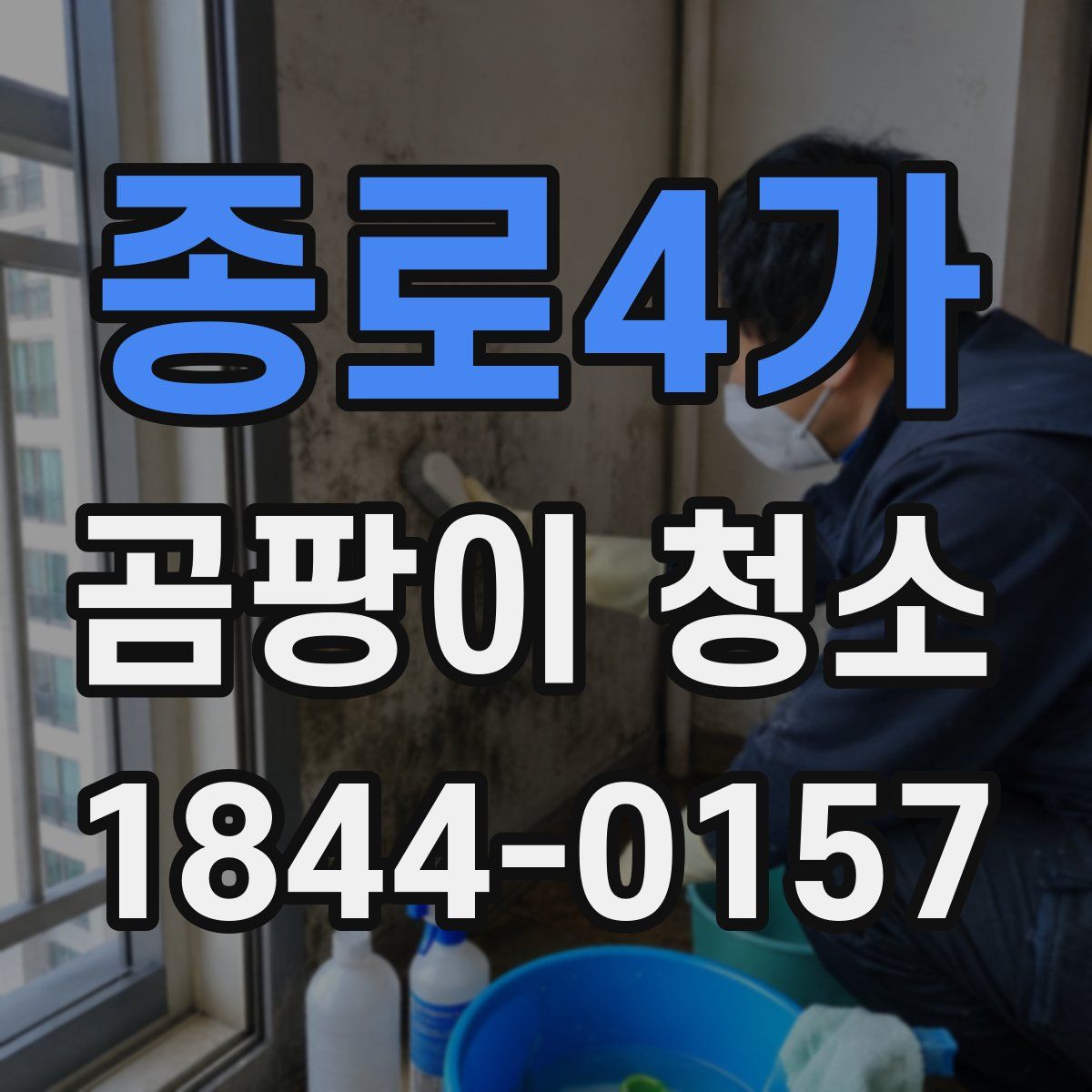 종로4가 곰팡이 청소