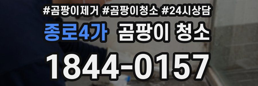 종로4가 곰팡이 청소