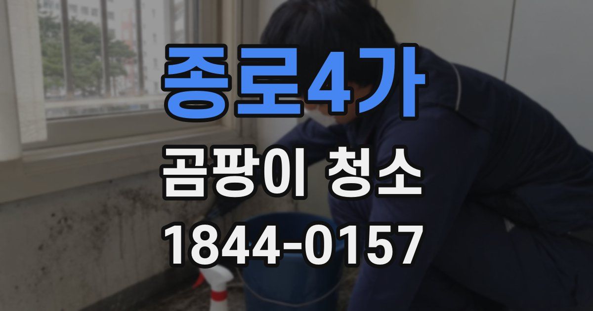 종로4가 곰팡이 청소