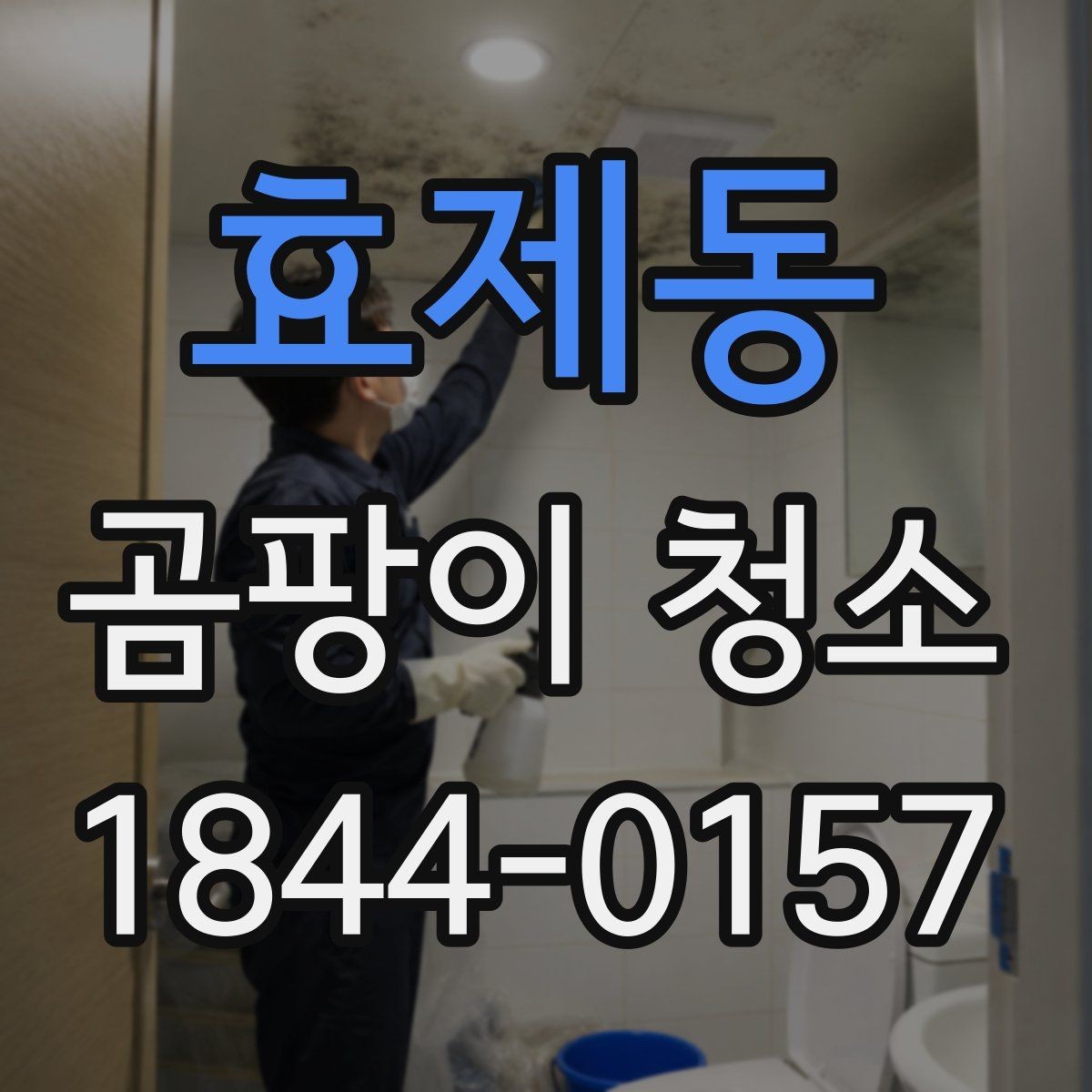 효제동 곰팡이 청소 욕실과 주방의 오염 패턴이 다른 이유