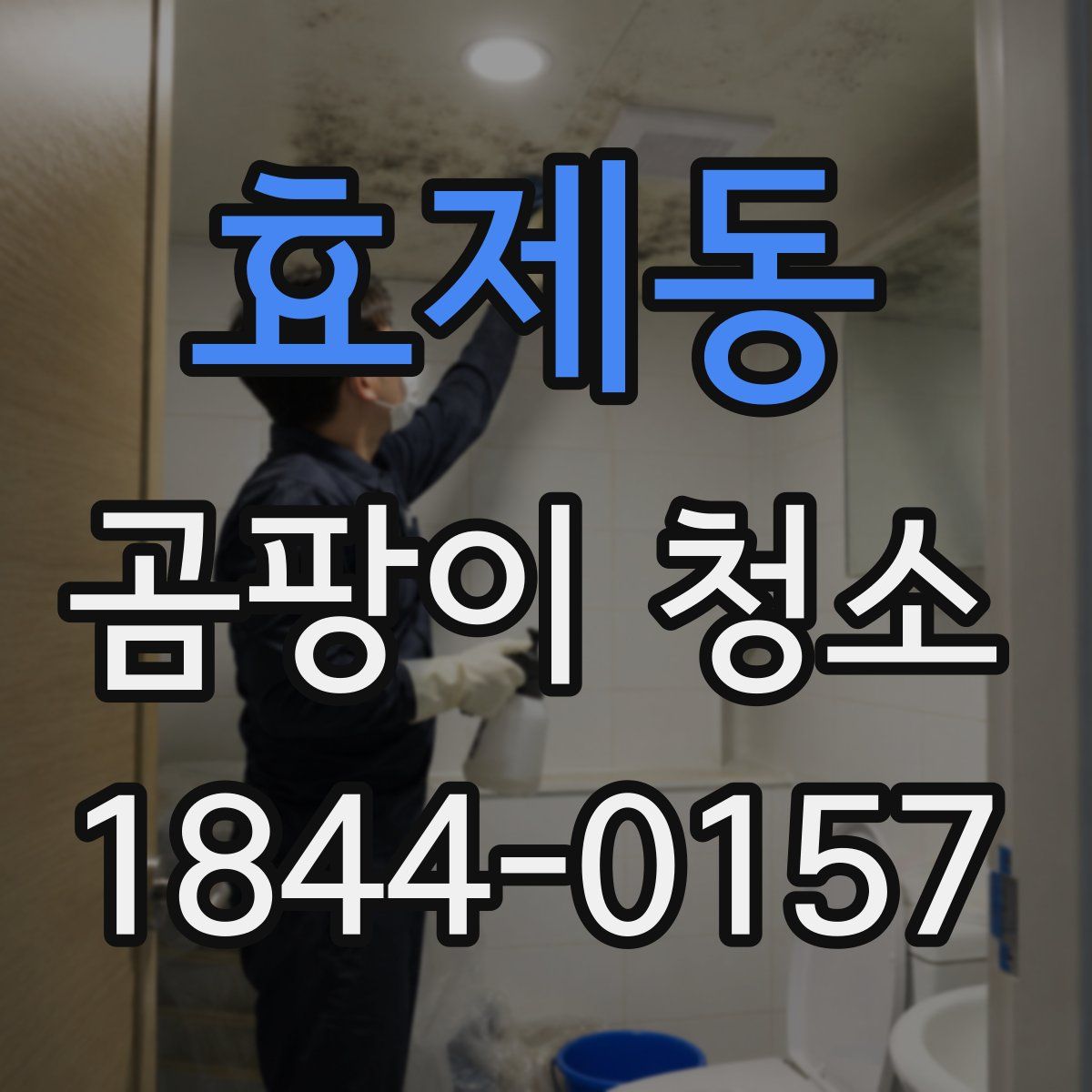 효제동 곰팡이 청소