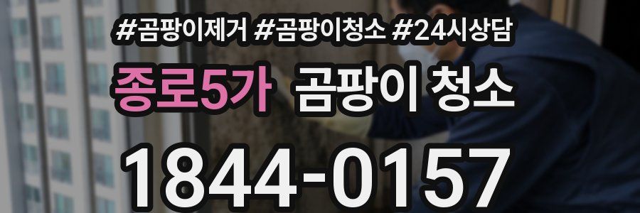 종로5가 곰팡이 청소