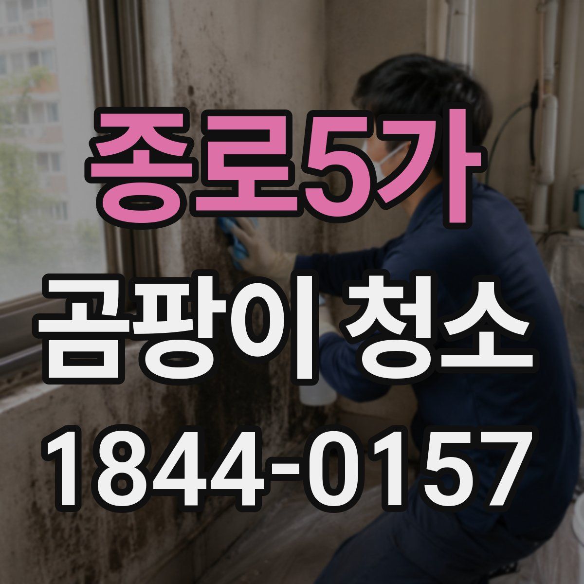 종로5가 곰팡이 청소