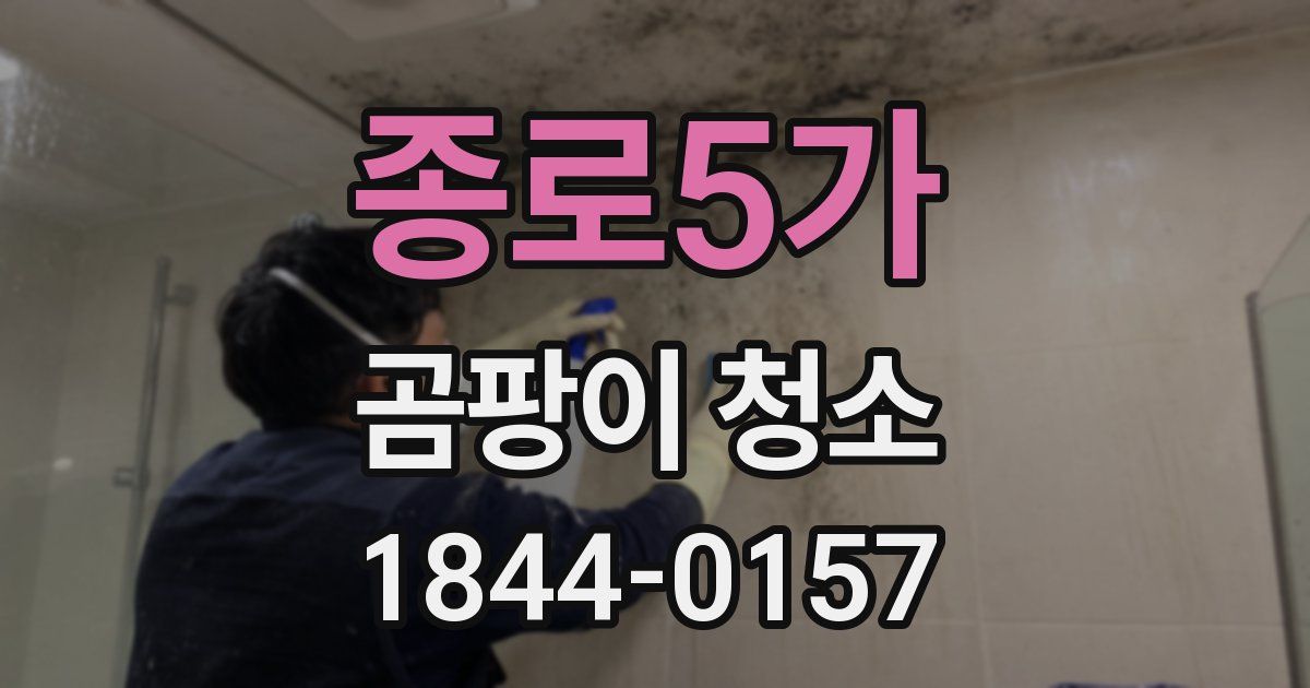 종로5가 곰팡이 청소