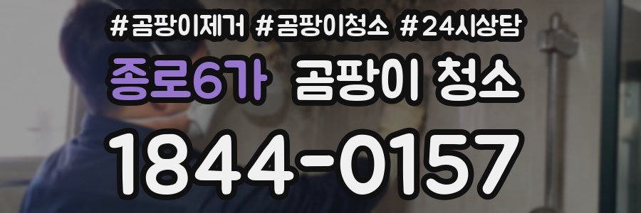 종로6가 곰팡이 청소