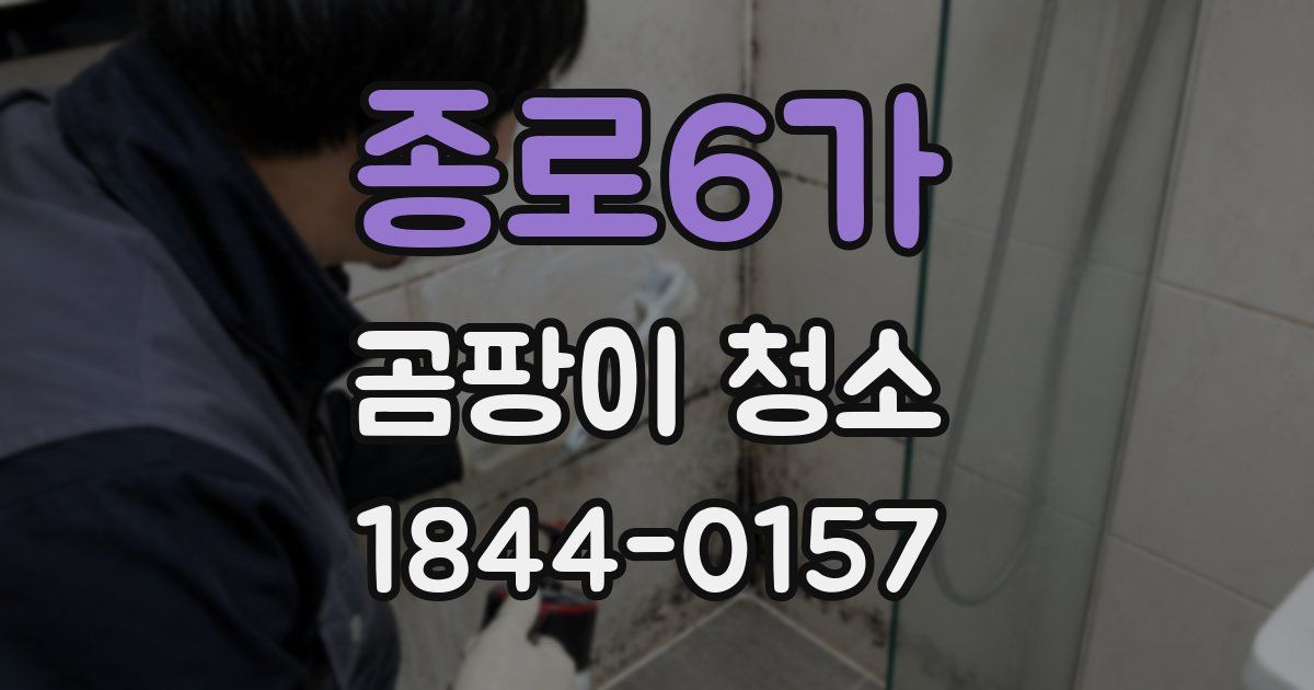 종로6가 곰팡이 청소