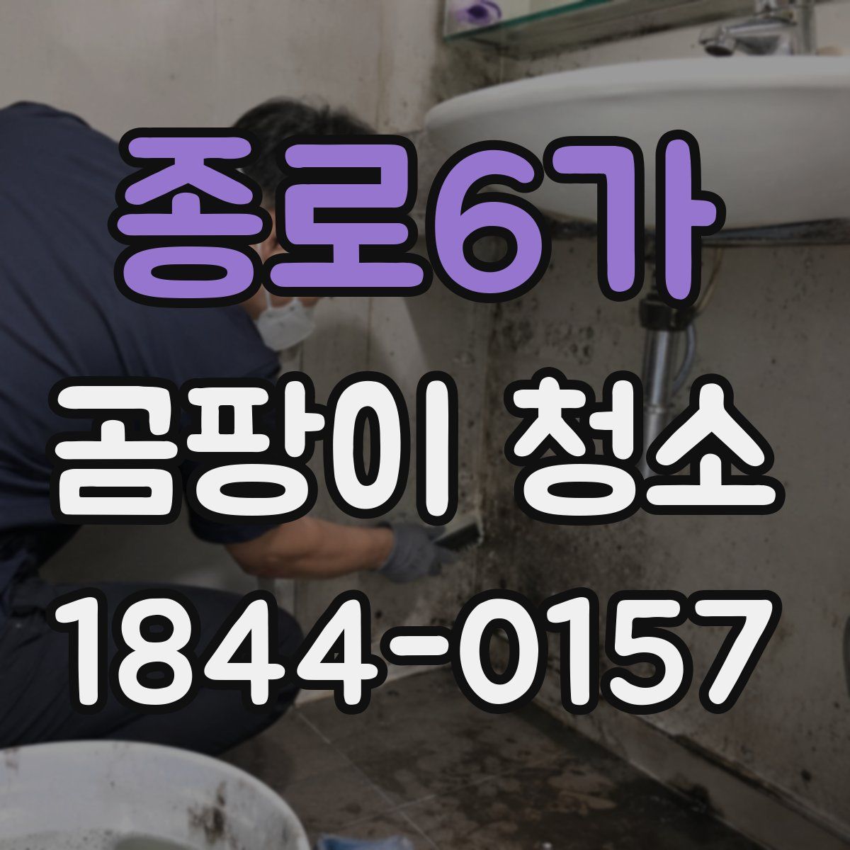 종로6가 곰팡이 청소