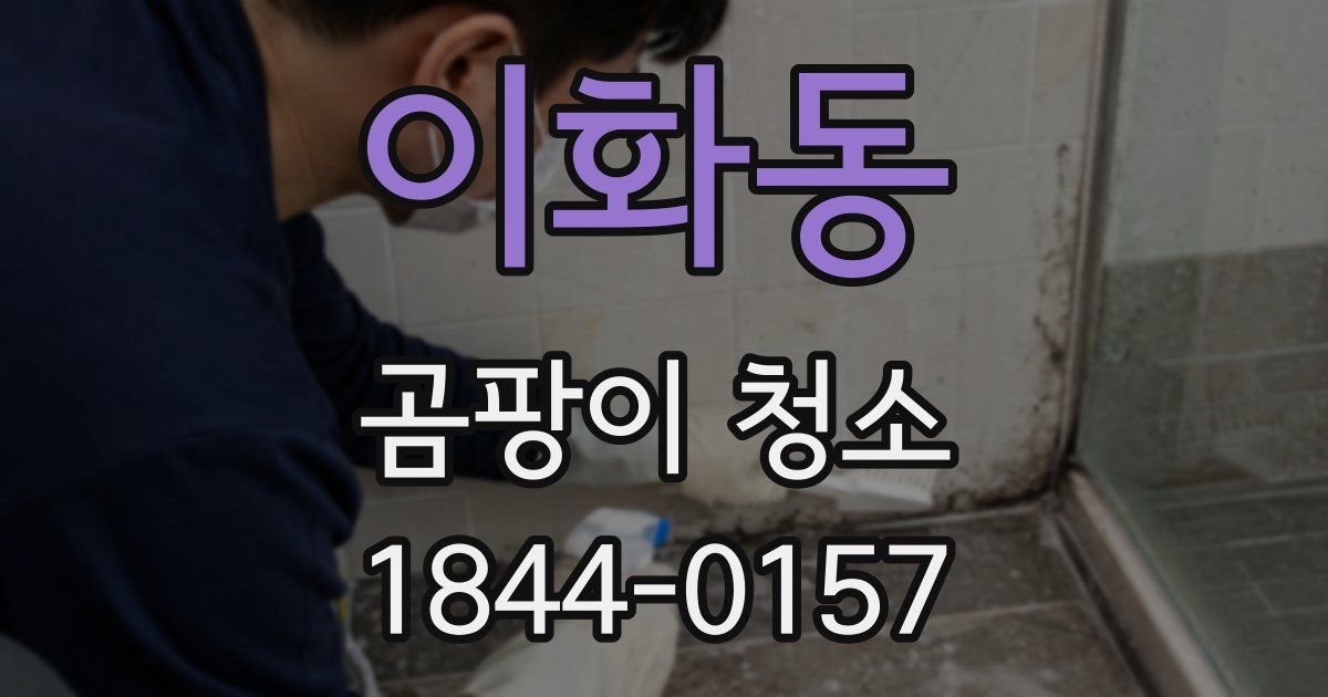 이화동 곰팡이 청소