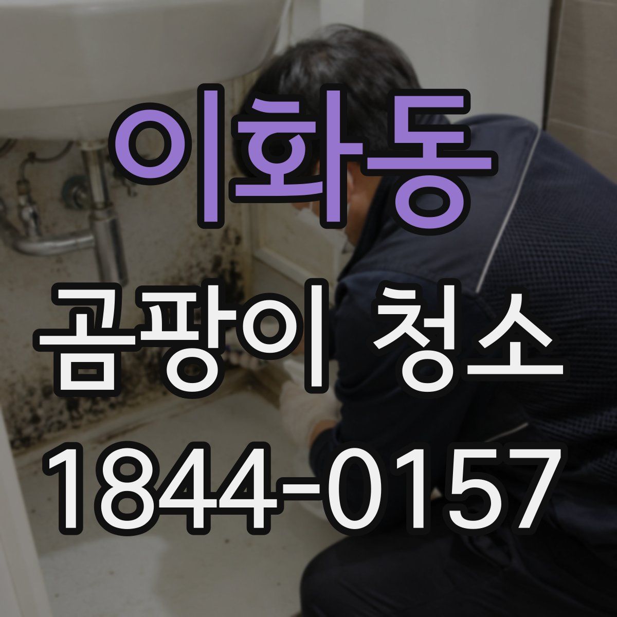 이화동 곰팡이 청소