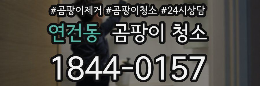 연건동 곰팡이 청소