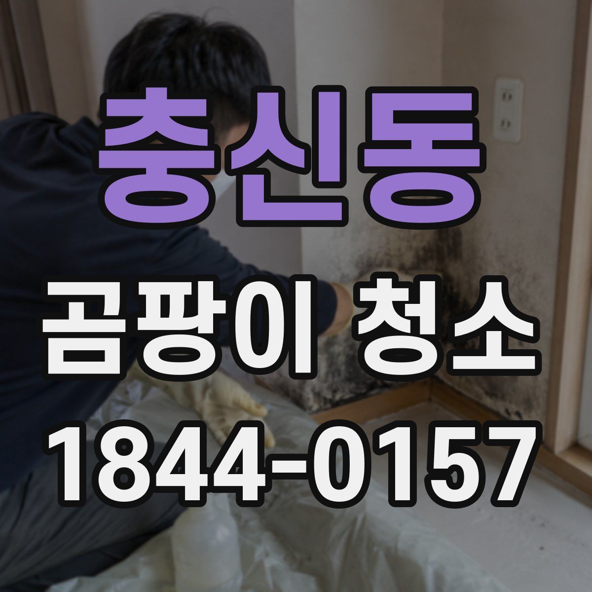 충신동 곰팡이 청소