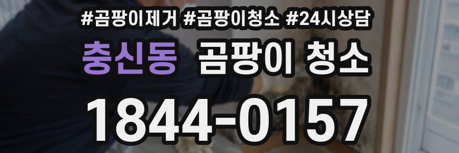 충신동 곰팡이 청소