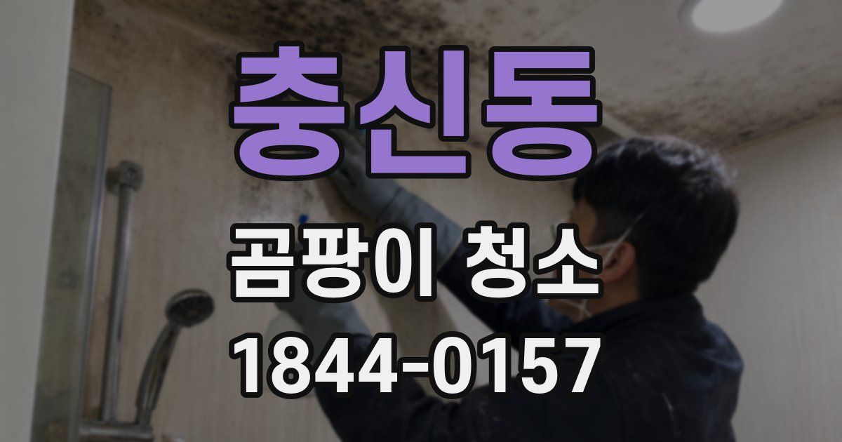 충신동 곰팡이 청소